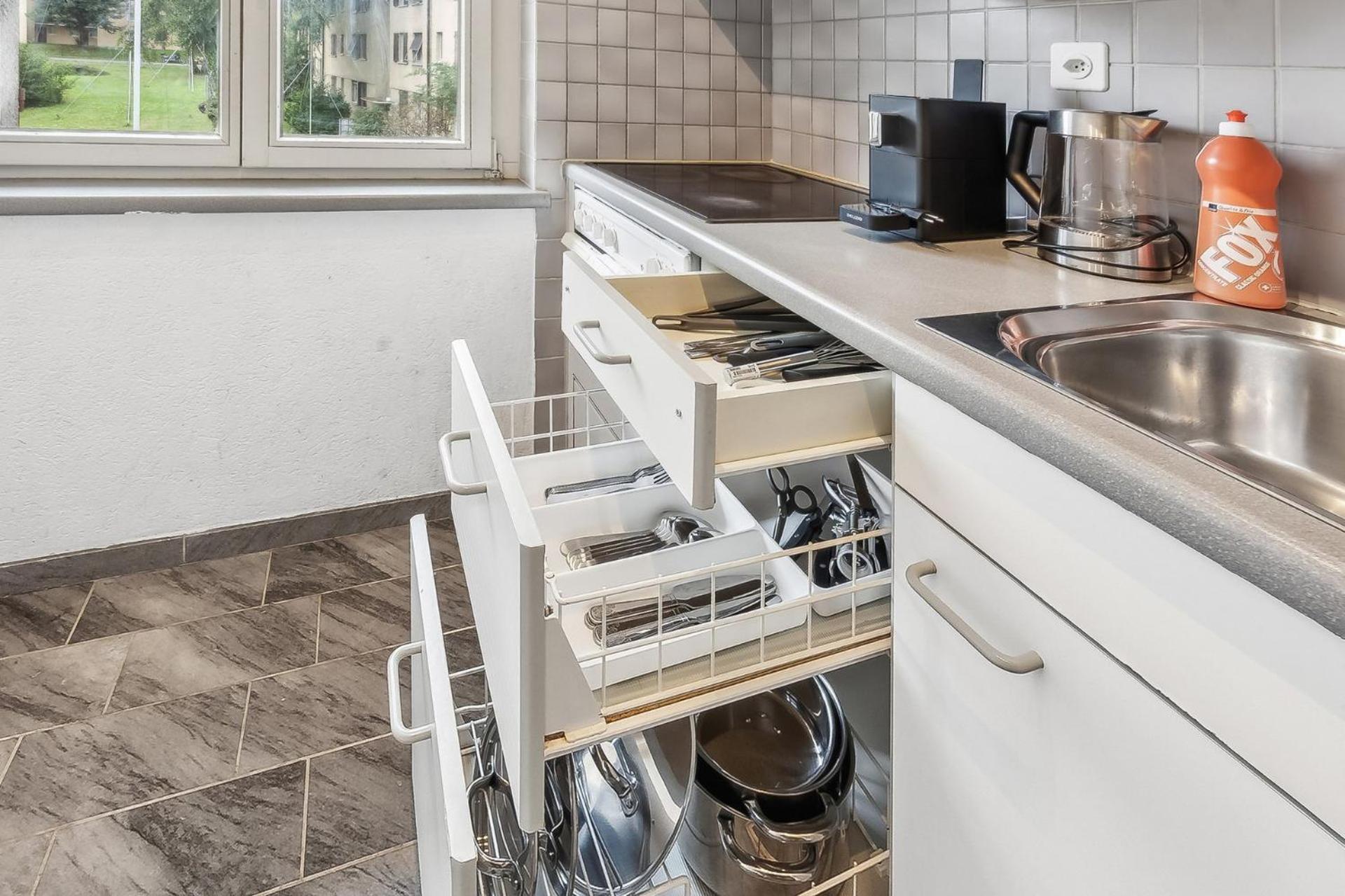 Appartement Altwiesenstrasse 144 à Zurich Extérieur photo